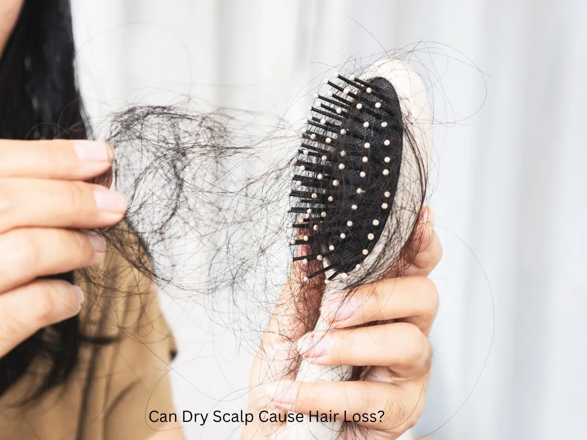 Can Dry Scalp Cause Hair Loss?